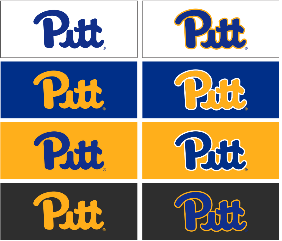 Examples of Pitt Script Usage